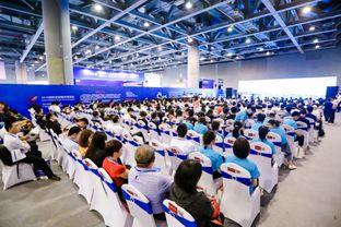 貿(mào)易服務(wù)博覽會(huì)與互聯(lián)網(wǎng)企業(yè)服務(wù)創(chuàng)新峰會(huì)雙輪驅(qū)動(dòng)，探索貿(mào)易咨詢服務(wù)新格局